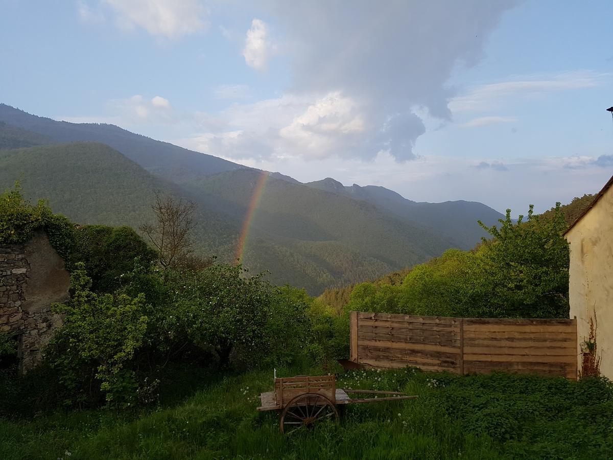 Domaine Des Massols Acomodação com café da manhã Marsat Exterior foto